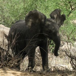 Meet your Posher, Mike